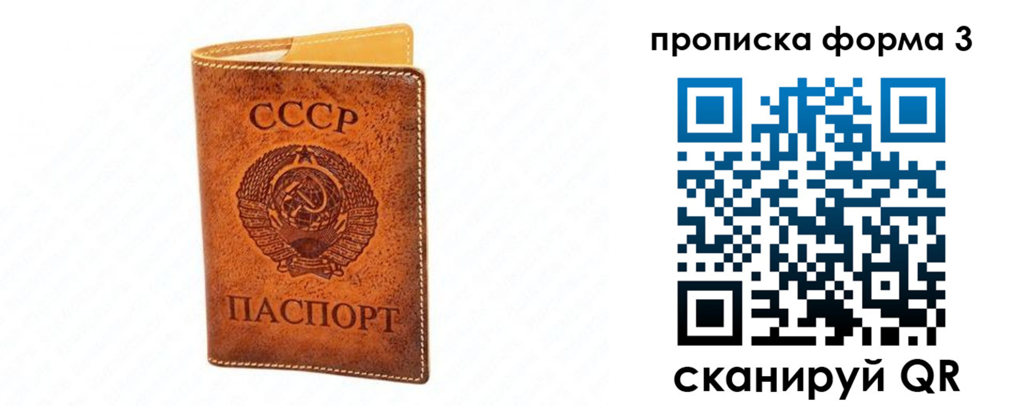 временная регистрация госуслуги в Сегеже
